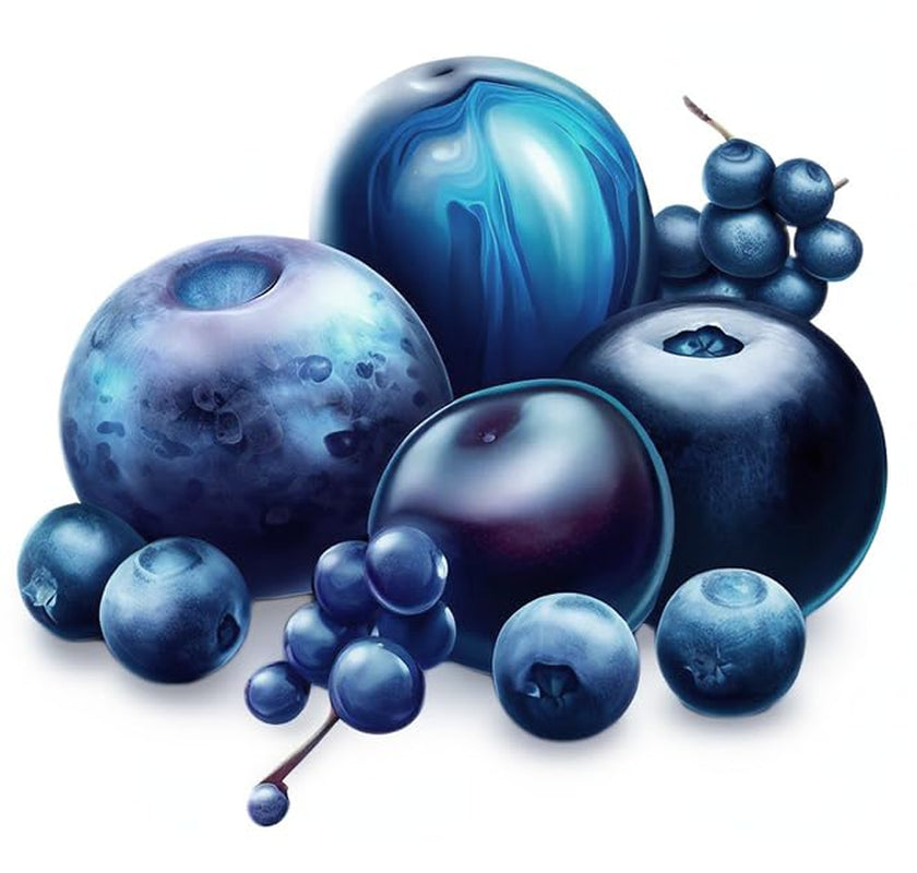 Colorant alimentaire en poudre colorant naturel Fruity Line BLEUET 20G colorant naturel en poudre pour crèmes glaçage pâte éponge en poudre colorant alimentaire pour boissons gelées