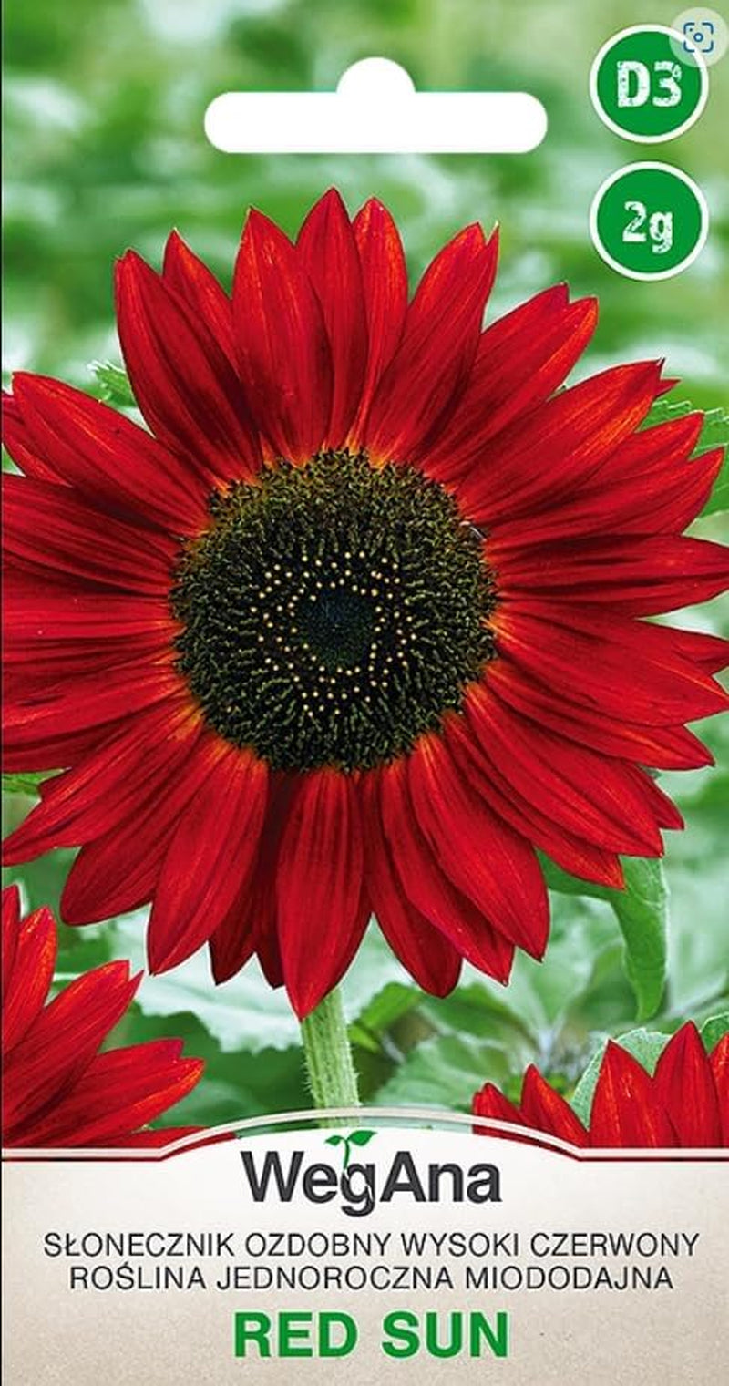 Cosmos Sensation Mix 1g graines, Cosmos Mix Fleurs d'été, Plantes de jardin Plantes de balcon, Graines de fleurs