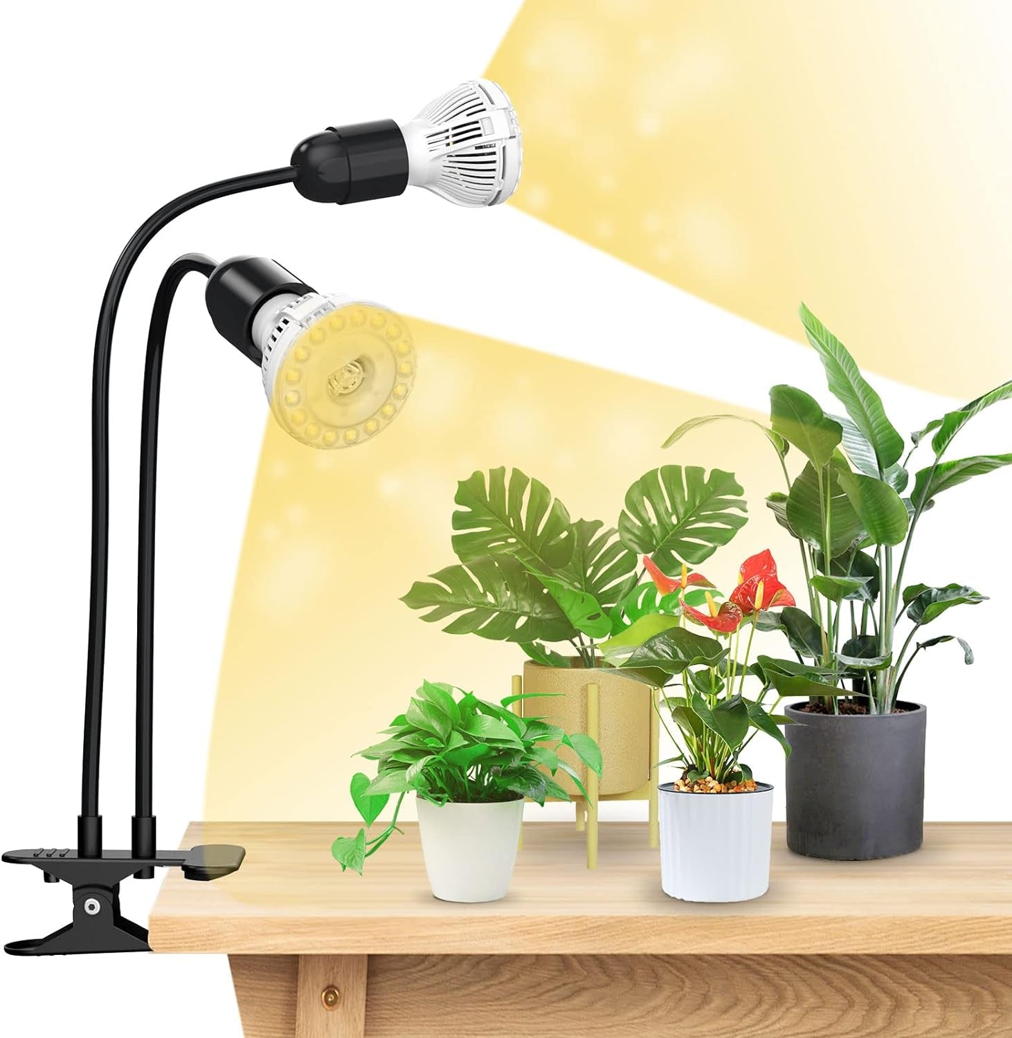 SANSI Lampe de culture LED pour plantes d'intérieur, 2 têtes, spectre complet, 10 W (équivalent 150 W), minuterie de 4/8/12 heures, lampe hydroponique suspendue pour serre de plantes d'intérieur