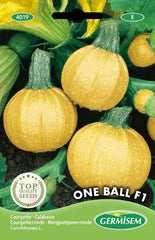 Zucchini ONE BALL F1