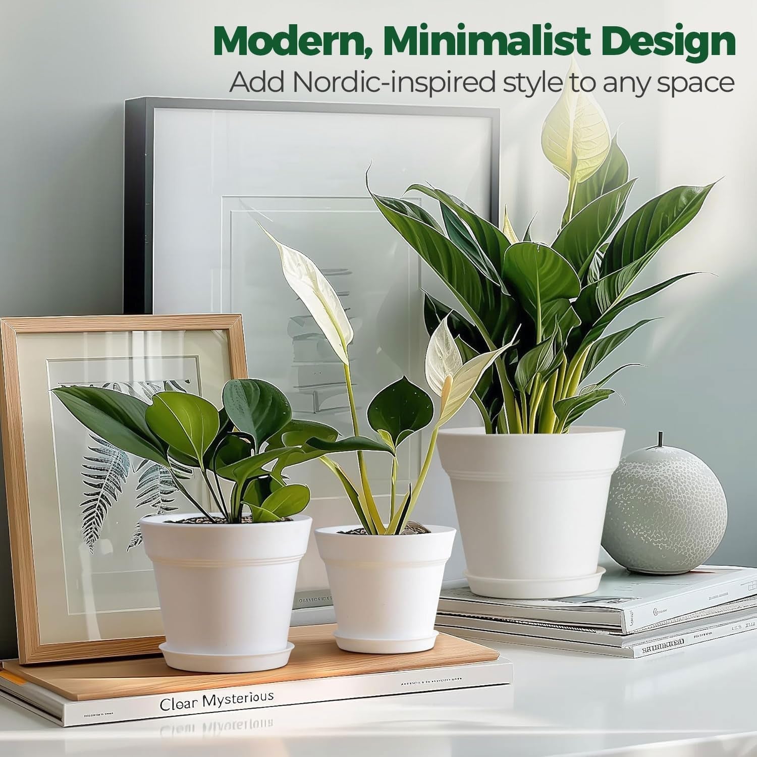 T4U Pot de Fleur en Plastique de 16 cm avec Soucoupe, Ensemble de 6 Pots à Herbes en Plastique avec Plusieurs Trous de Drainage, Pot Rond pour Plantes Succulentes d'intérieur et de Balcon, Cactus, Blanc