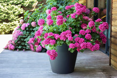 PLASTIQUE? Pot de Fleur en Plastique, 76L, Couleurs Vives, Zen, L 60 cm x H 47 cm