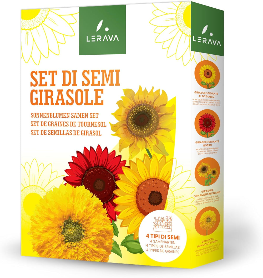 LERAVA® Sonnenblumen Samen Set (4 sortes) - Riesige gelbe & rote Sonnenblume - Zwerg et Sungold Teddy - Premium Sonnenblumensamen für Garten und Balkon - Blumenamen Geschenk für Hobbygärtner