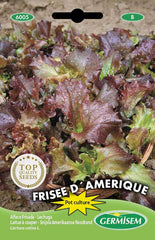 Schnittsalat FRISEE D´AMERIQUE, Mehrfarbig, EC6005