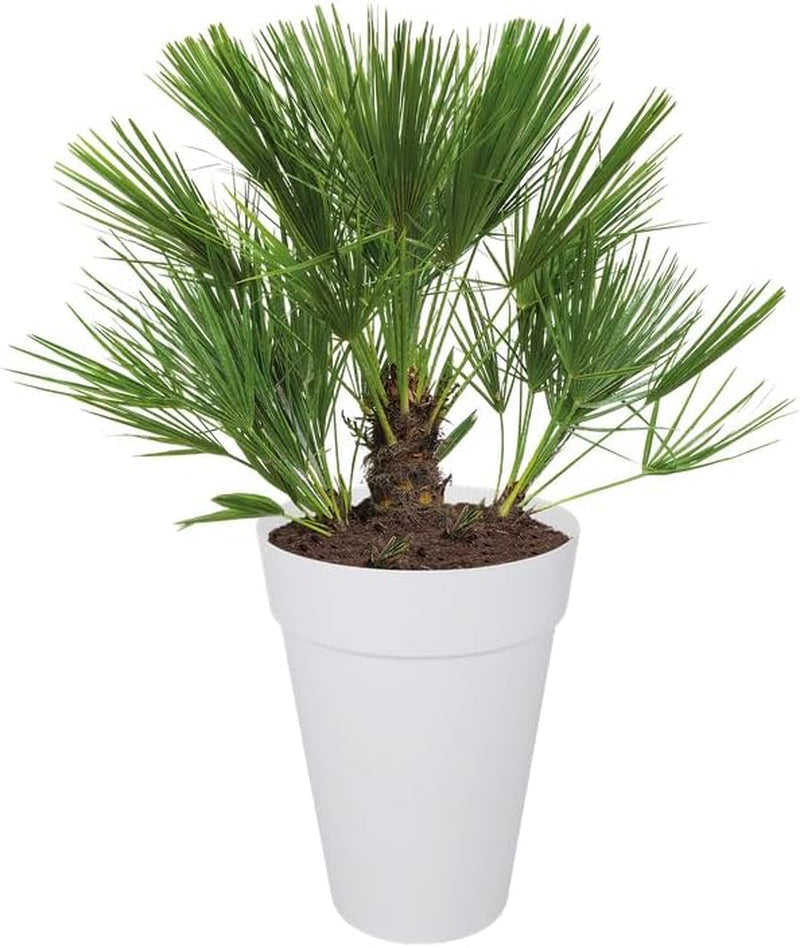 elho Loft Urban Round Tall 35 - Ghiveci de flori pentru exterior - Ø 33,5 x H 45,3 cm - Alb/Alb