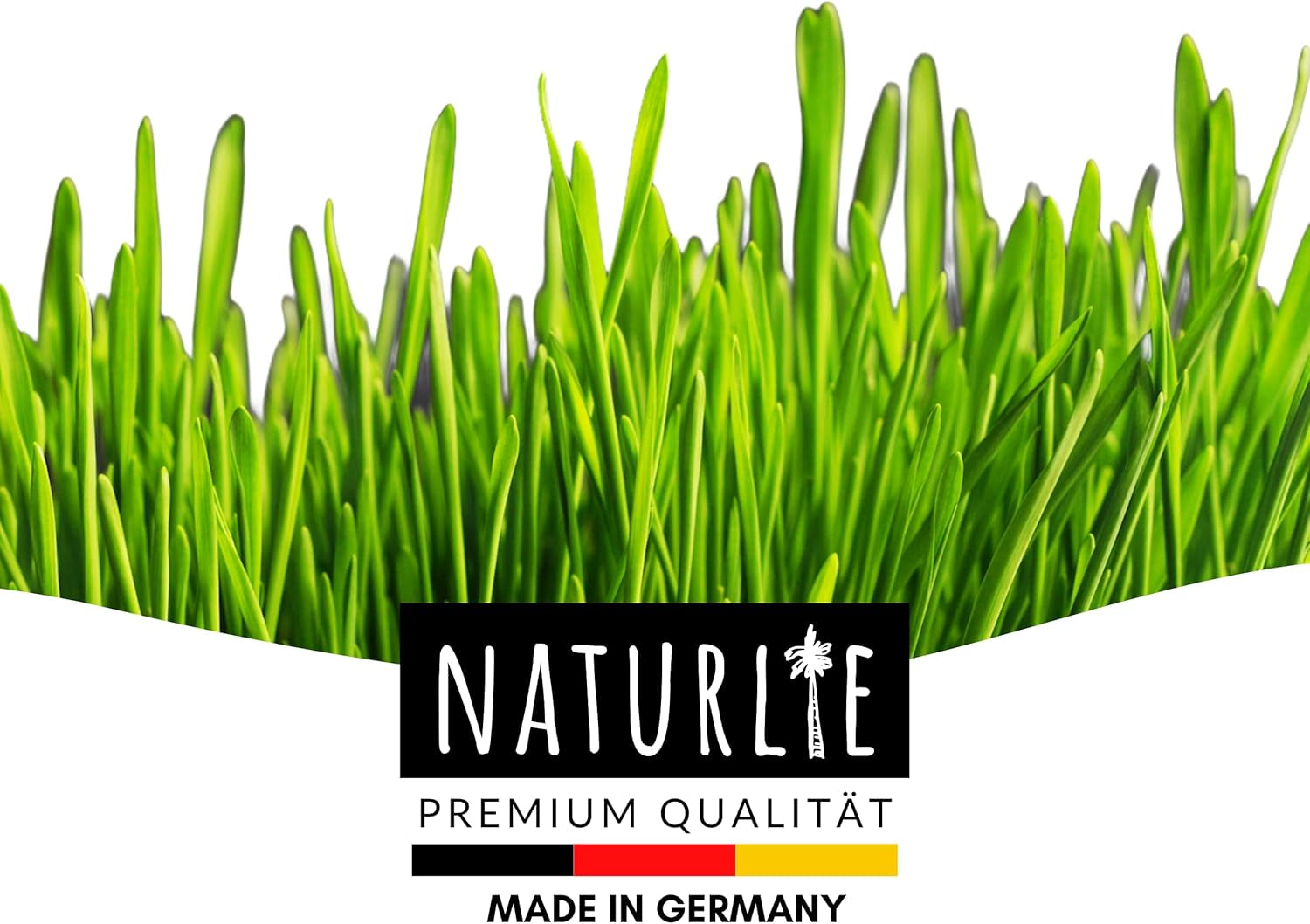 XXL 200G Premium Katzengras Samen Set: Saatgut Für 80 Töpfe Fertiges Katzengras - Saatgut Für Eine Sanfte/Weiche Katzenwiese - Premium Saatgut Für Deine Katze