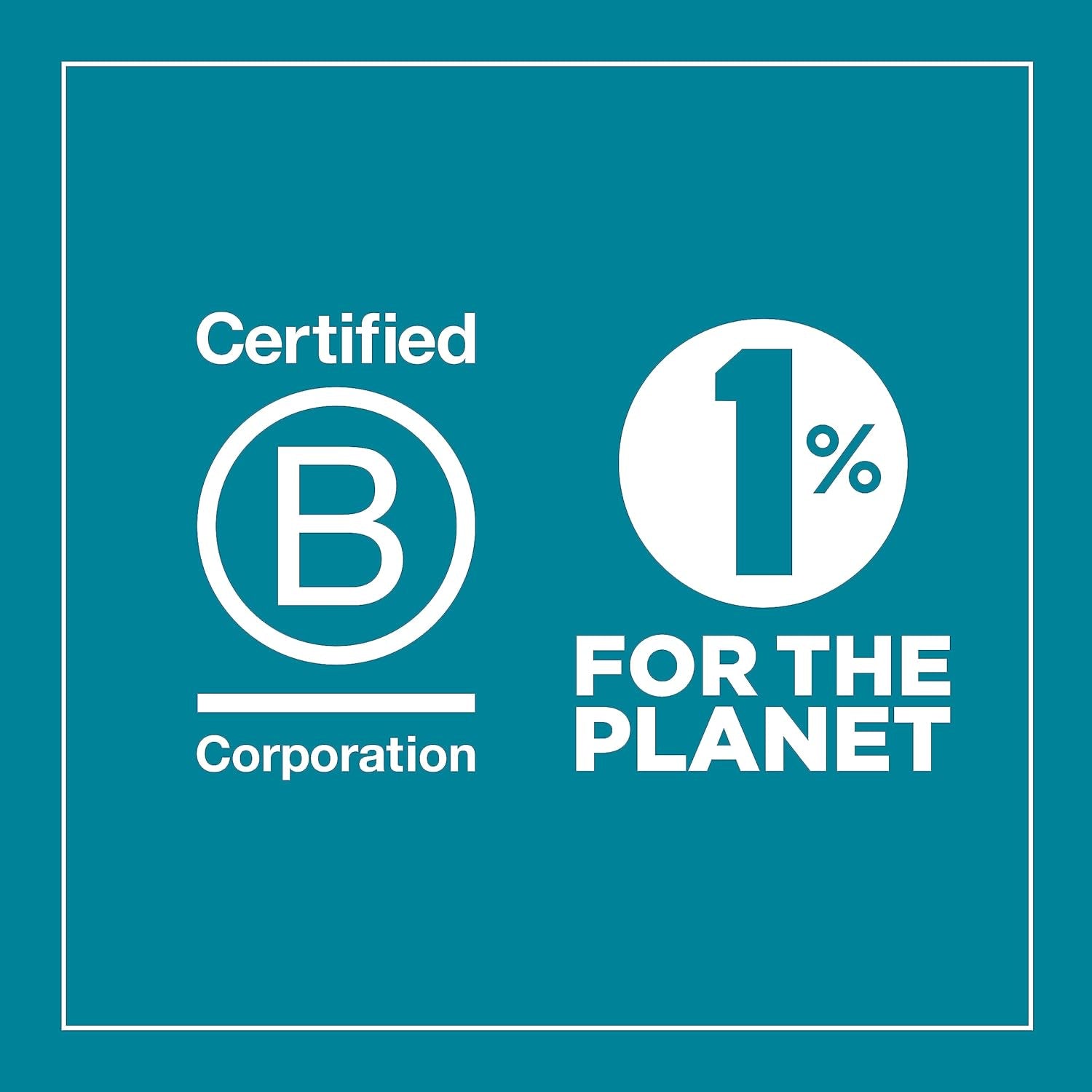 U Konserve - Récipient alimentaire rectangulaire divisé en acier inoxydable avec couvercle en silicone - Bleu sarcelle - Boîtes de conservation des aliments de 28 oz / 825 ml Naty Shop