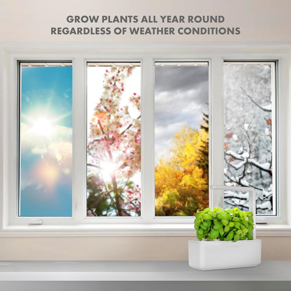 Click and Grow Growbox, Smart Garden, plus facile que le système de culture hydroponique, jardin intérieur, jardin d'herbes aromatiques, serre intérieure avec 3 capsules de plantes incluses, blanc