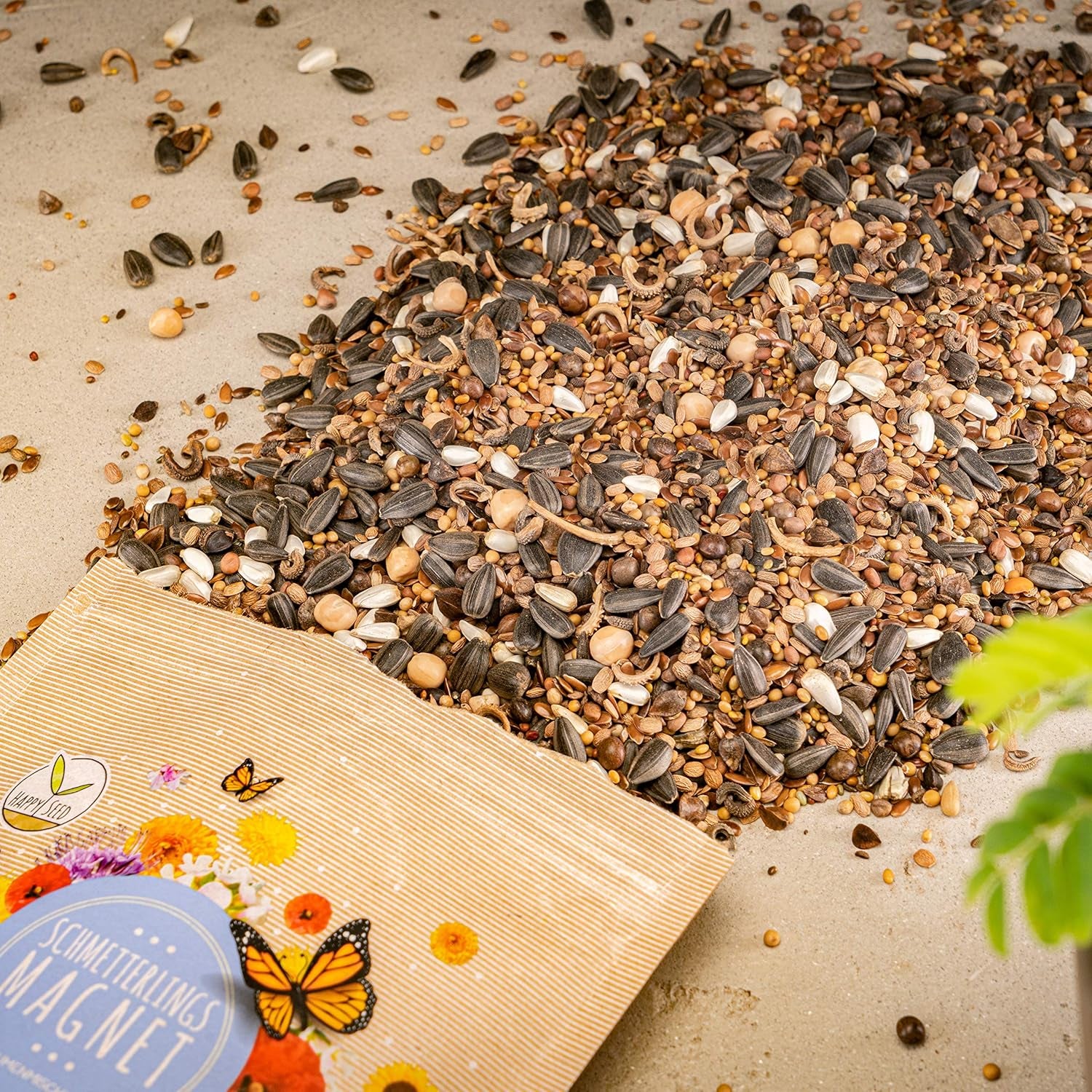 100 g de graines de papillon pour une prairie fleurie colorée – Mélange de graines de fleurs sauvages colorées et riches en nectar pour papillons