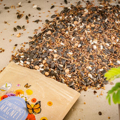 100 g de graines de papillon pour une prairie fleurie colorée – Mélange de graines de fleurs sauvages colorées et riches en nectar pour papillons