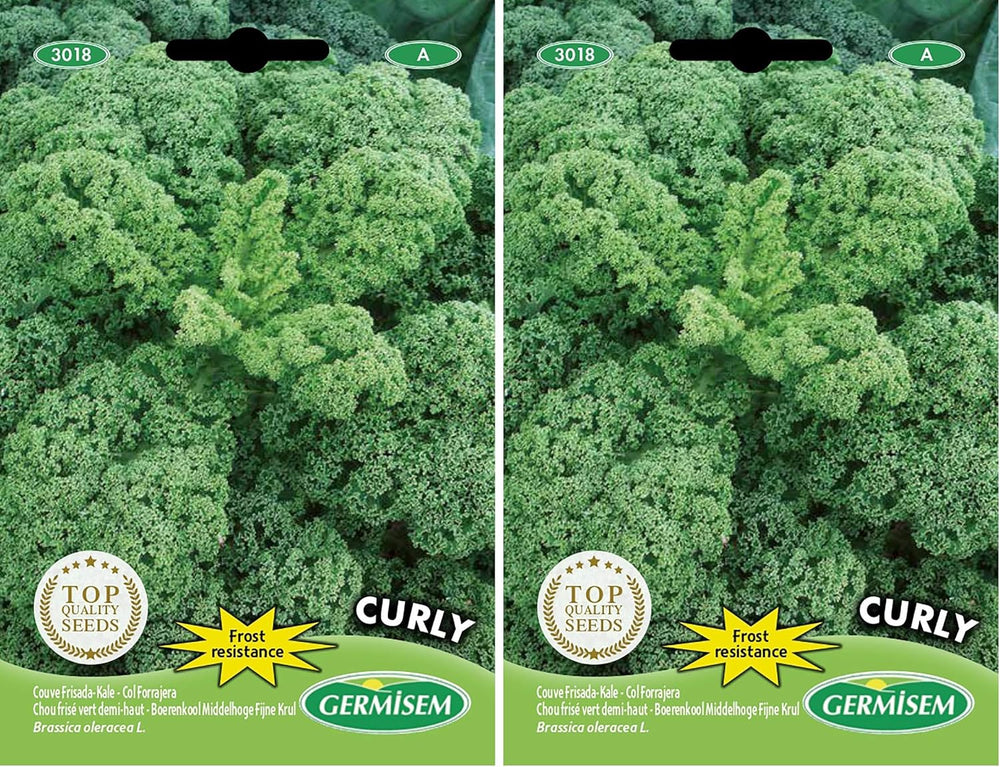 Grünkohl CURLY, Mehrfarbig, EC3018 (Packung Mit 2)