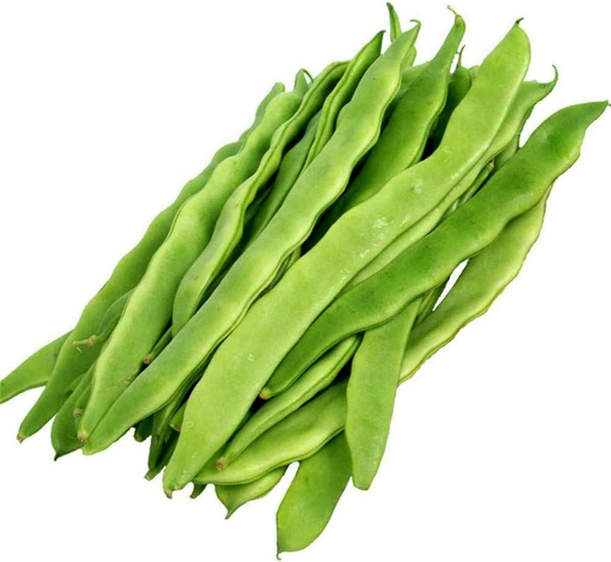 Stangenbohnen HELDA