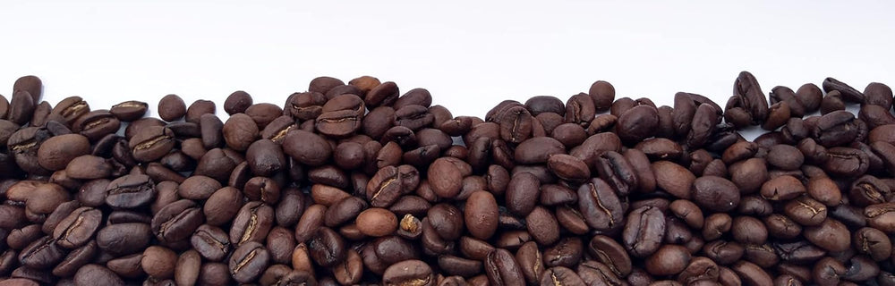 Café Arabica mexicain Procurador 1000g