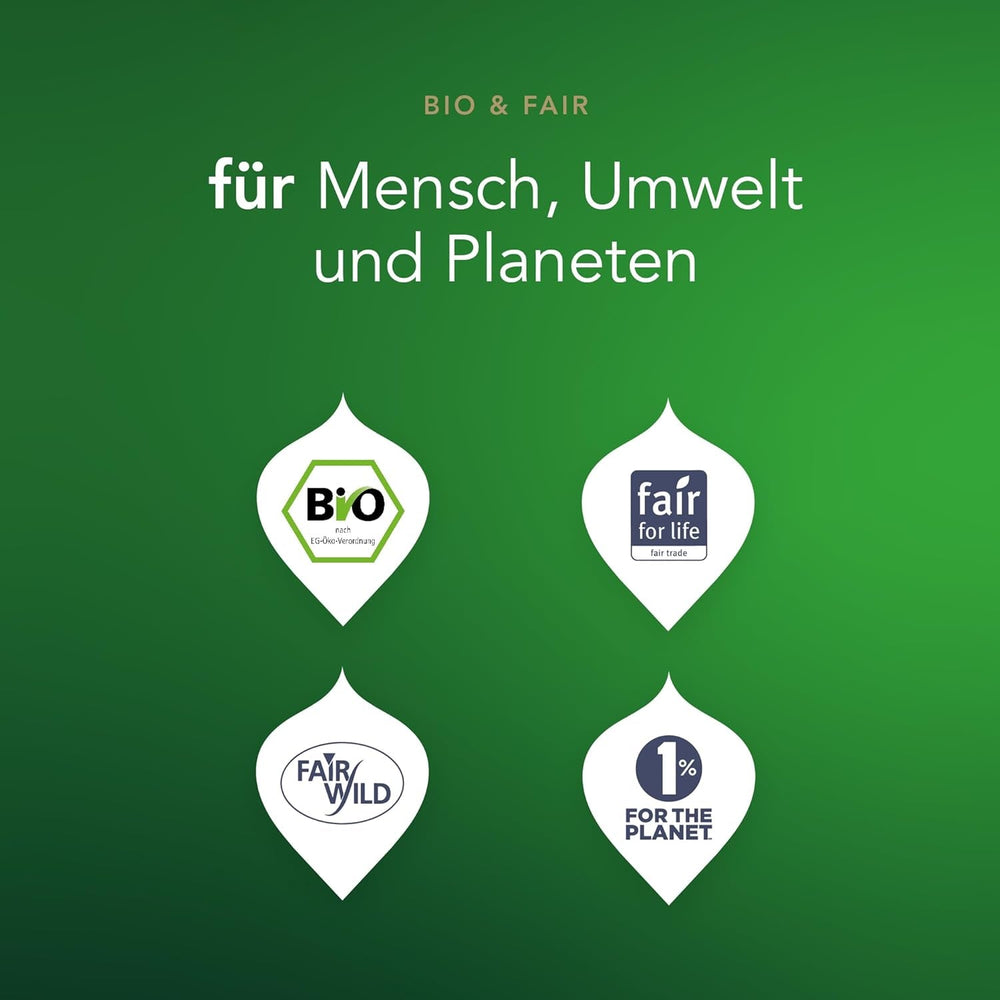 Sachets de thé vert Pukka Matcha : thé vert énergisant au matcha