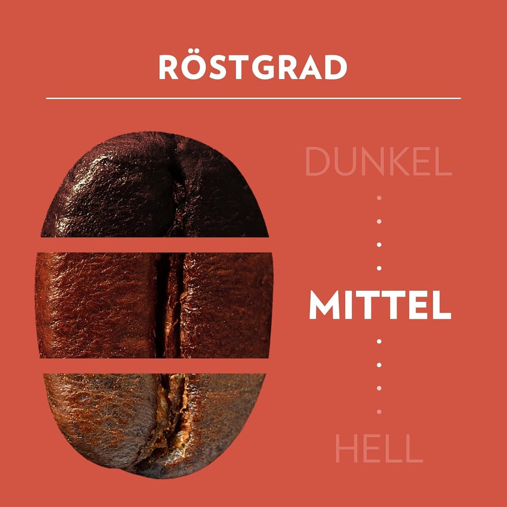 Lavazza, Tales of Roma, grains de café, idéal pour les machines à café Espresso, avec des notes aromatiques de noisette et de chocolat noir, Arabica et Robusta, 250 grammes Café Naty Shop