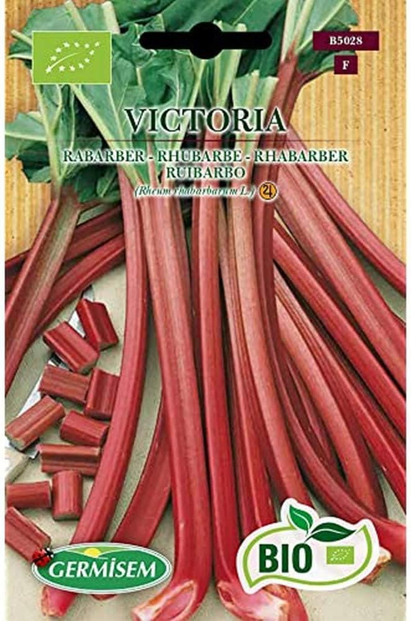 Rhabarber VICTORIA, ECBIO5028