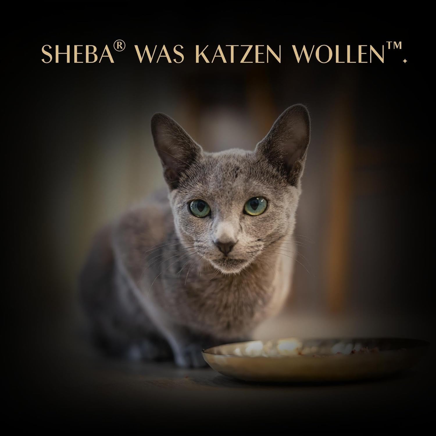 SHEBA Filets Adult Katzenfutter en Sauce au Poulet, Hochseefisch et Garnelen 16 x 60g Coquille