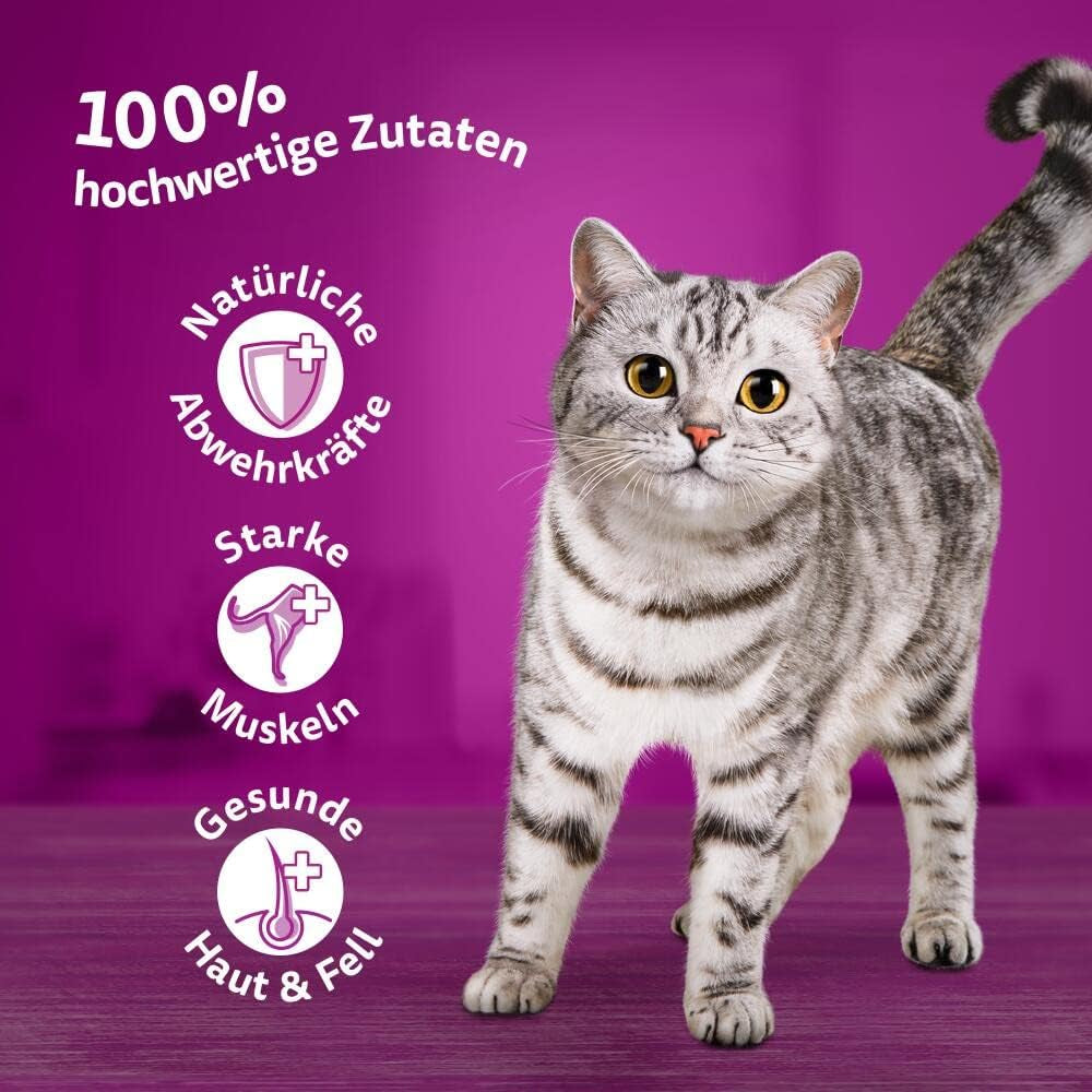Whiskas 1+ nourriture humide pour chats au poulet en gelée, 28x85g (1 paquet) - Nourriture humide de haute qualité pour chats adultes en sachets de 28 portions