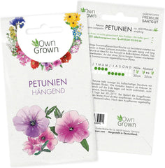 Graines de pétunia : Graines de pétunia de qualité supérieure pour environ 400 plants de pétunia – Magnifiques graines de pétunia pour plantes de balcon et de jardin – Graines de fleurs – Graines de pétunia grimpant – Fleurs de balcon OwnGrown