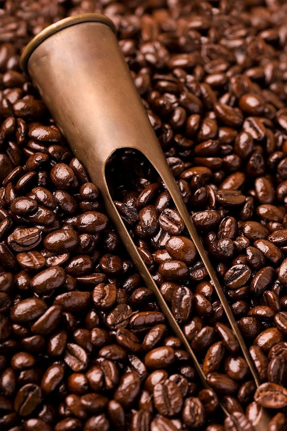 Caffè Barbera - Kit café avec 3 mélanges - 1870