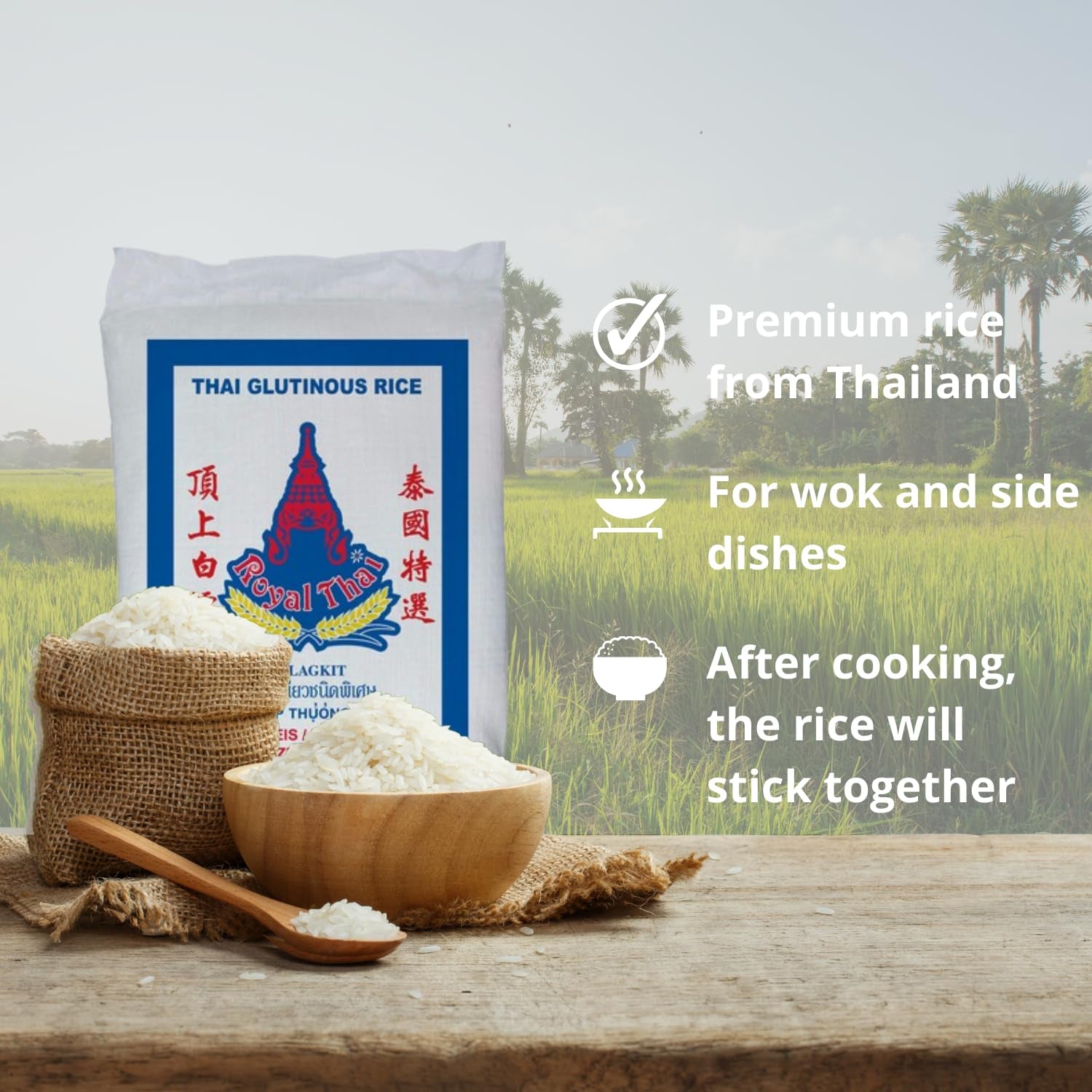 ROYAL THAI RICE - Riz gluant - 1 x 20 KG