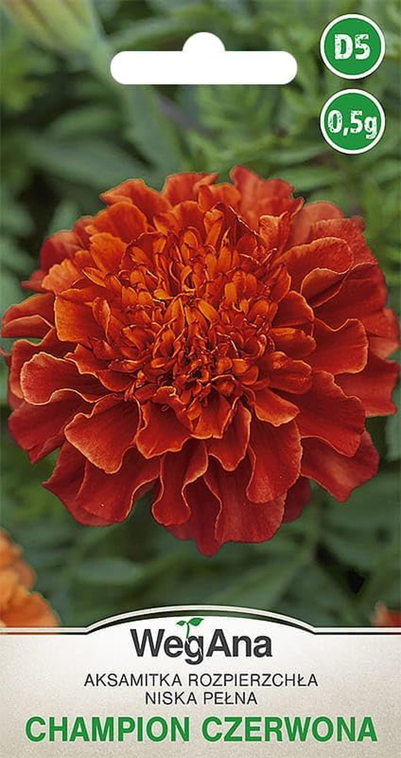 Cosmos Sensation Mix 1g graines, Cosmos Mix Fleurs d'été, Plantes de jardin Plantes de balcon, Graines de fleurs