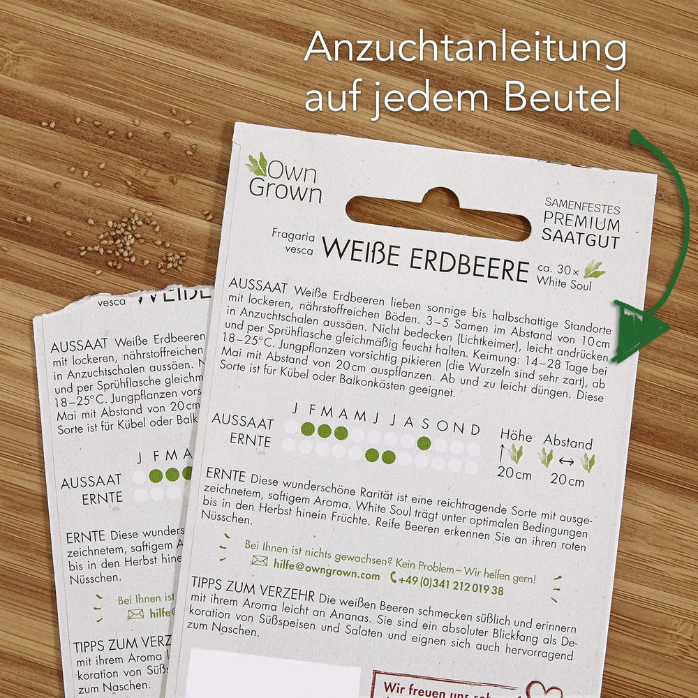 Ensemble de graines de fruits : graines de jardin de qualité supérieure avec 8 variétés de plantes fruitières pour jardin et balcon – graines de pastèque, graines de fraises, groseilles, rhubarbe et plus – Coffret cadeau de graines de fruits de OwnGrown