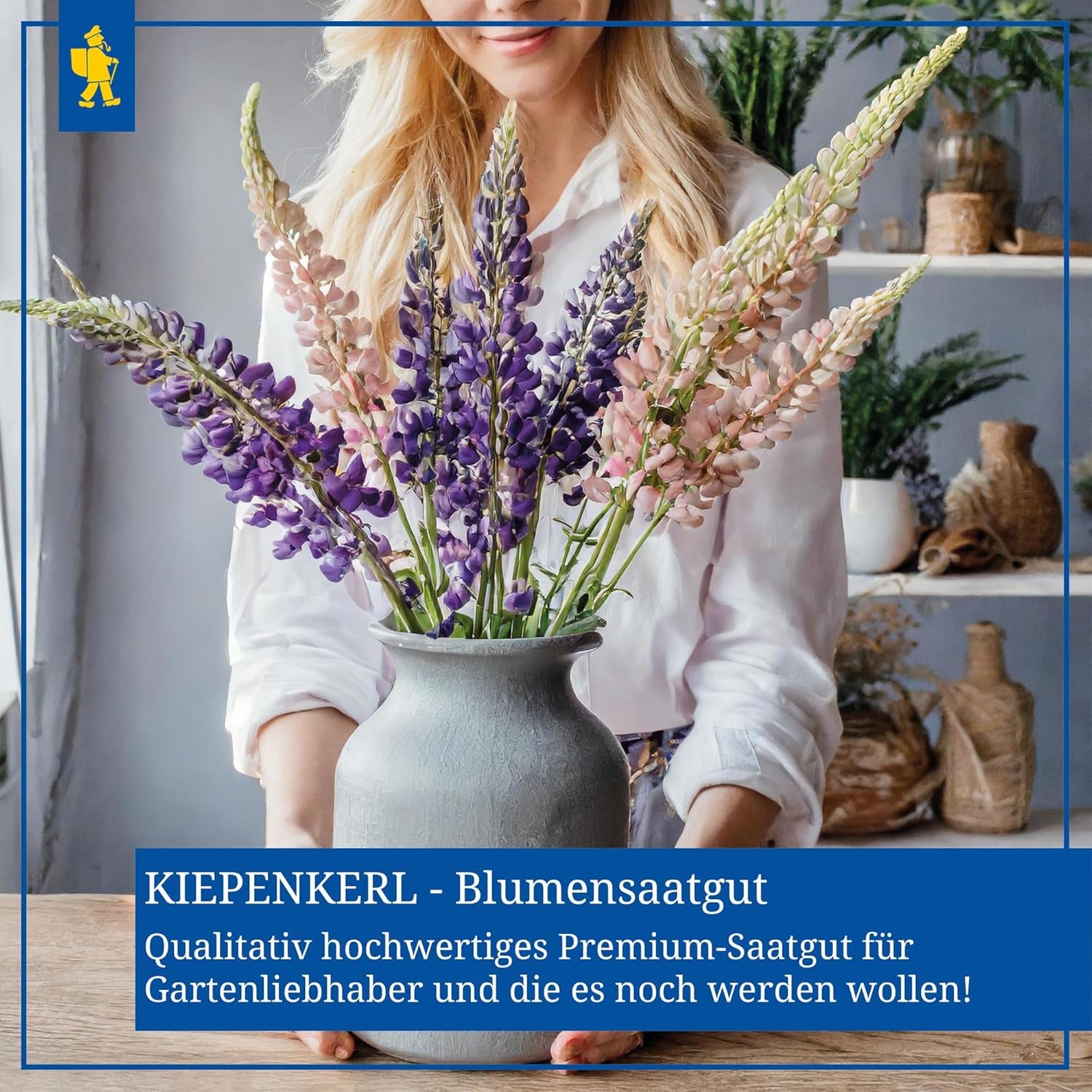 Zinnien Dahlienblütige Mischung