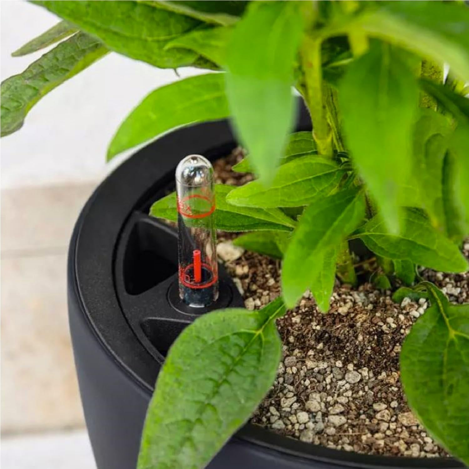 Jardinieră LECHUZA Classico Color LS gri ardezie cu sistem de irigare |Ø 35 × 32 cm|14281