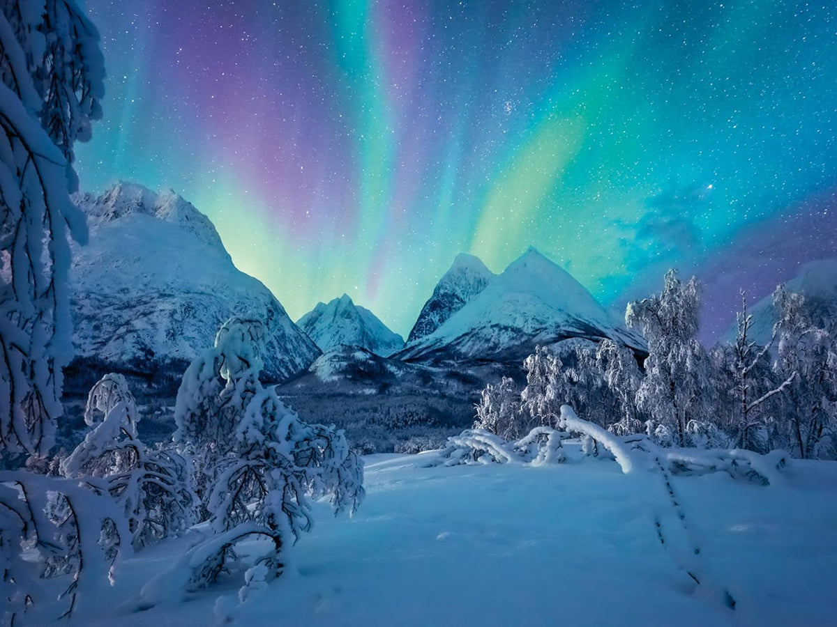 Ravensburger Puzzle 12000802 - Wenn Die Nordlichter Tanzen - Puzzle 1500 pièces pour adultes à partir de 14 ans Puzzle Naty Shop Titre par défaut