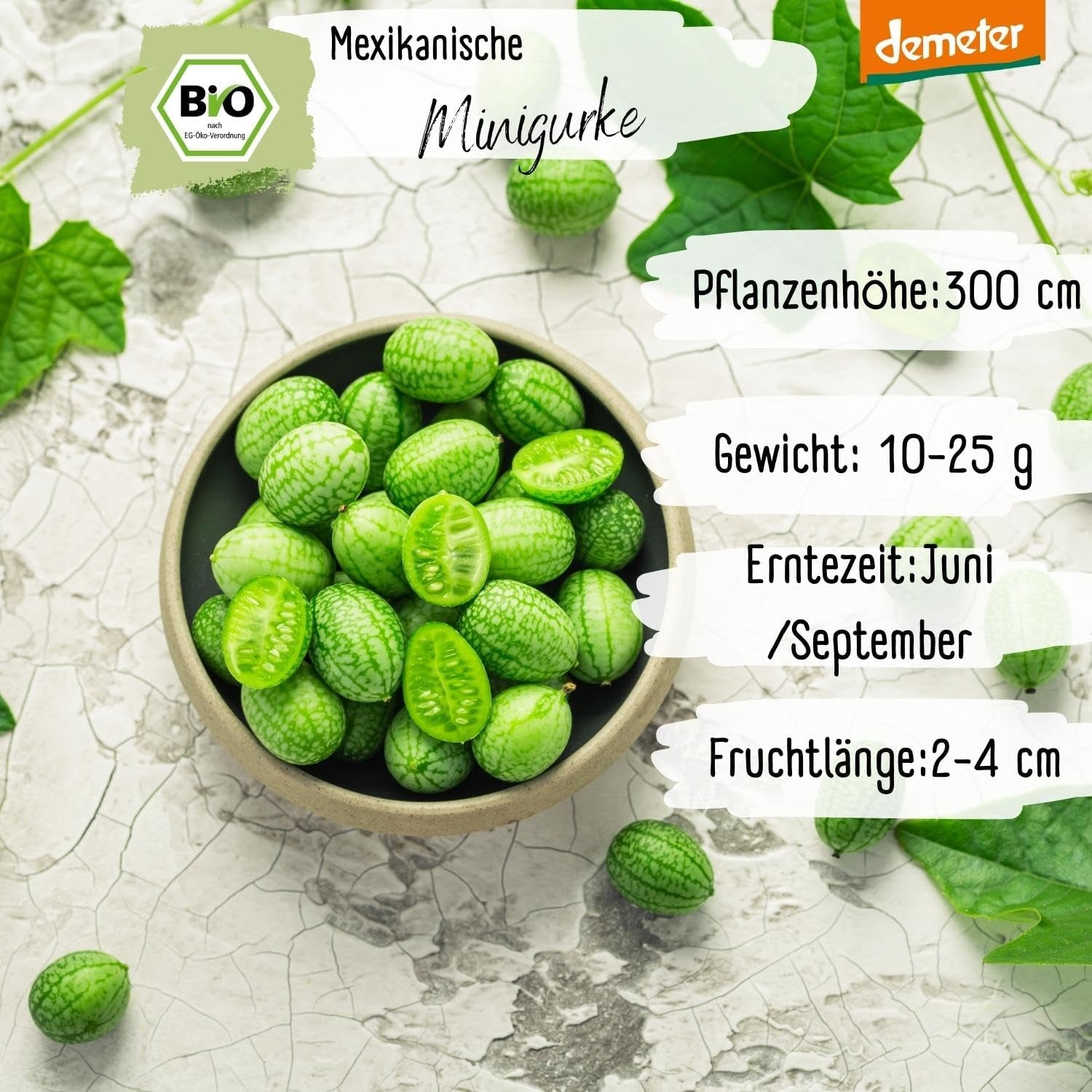 Mini graines de concombre mexicaines biologiques, 10 graines de concombre, taux de germination élevé, certifiées Demeter et pollinisation ouverte | LOVEPLANTS Graines de légumes pour lit surélevé de jardin de balcon - Variétés de légumes d'héritage