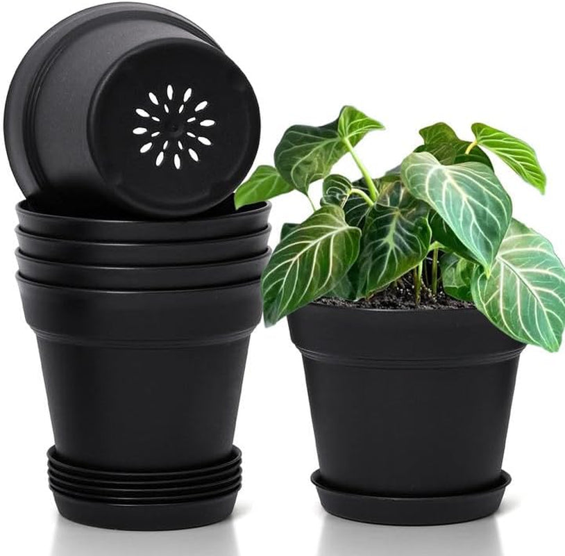 T4U Pot de Fleur en Plastique de 16 cm avec Soucoupe, Ensemble de 6 Pots à Herbes en Plastique avec Plusieurs Trous de Drainage, Pot Rond pour Plantes Succulentes d'intérieur et de Balcon, Cactus, Blanc