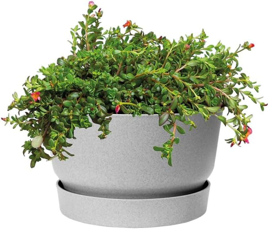 elho Greenville Bowl 33 - Ghiveci de flori pentru exterior - 100% plastic reciclat - Ø 32,5 x H 19,4 cm - Gri/Beton viu