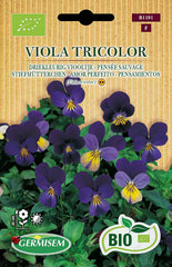 Stiefmütterchen VIOLA TRICOLOR, ECBIO1191