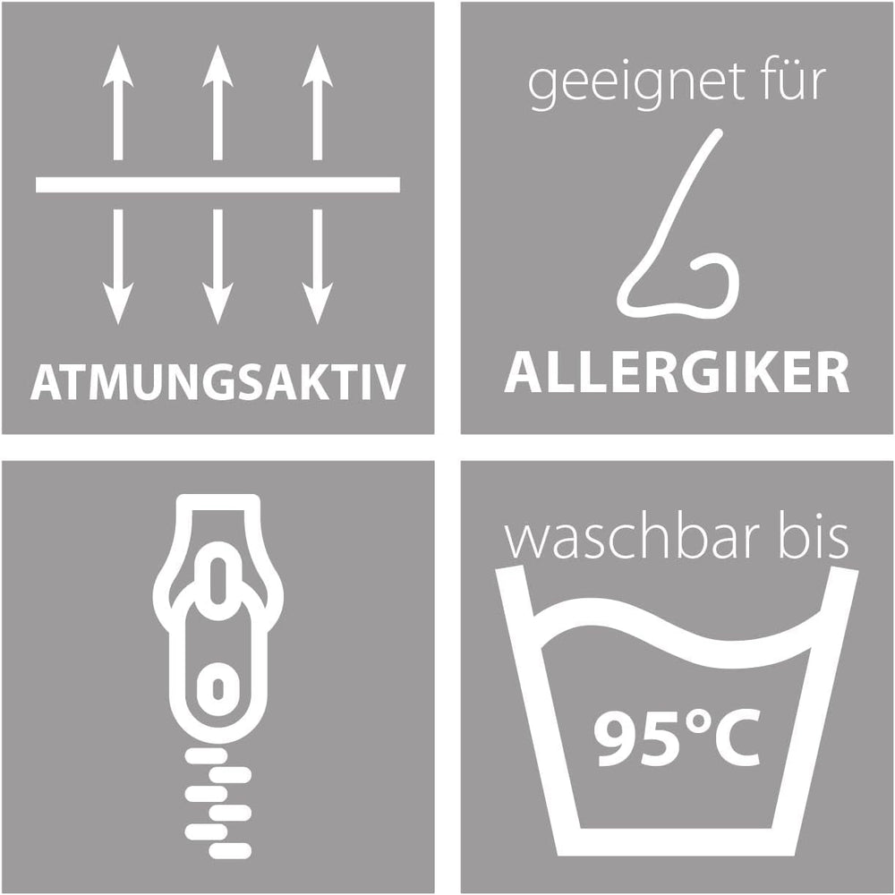 Traumnacht Oreiller roulette confortable, Lot de 4 oreillers, Avec housse matelassée et rembourrage en mousse, 40 X 40 cm, Certifié Oeko-Tex, Fabriqué selon la norme de qualité allemande Oreillers standard Naty Shop