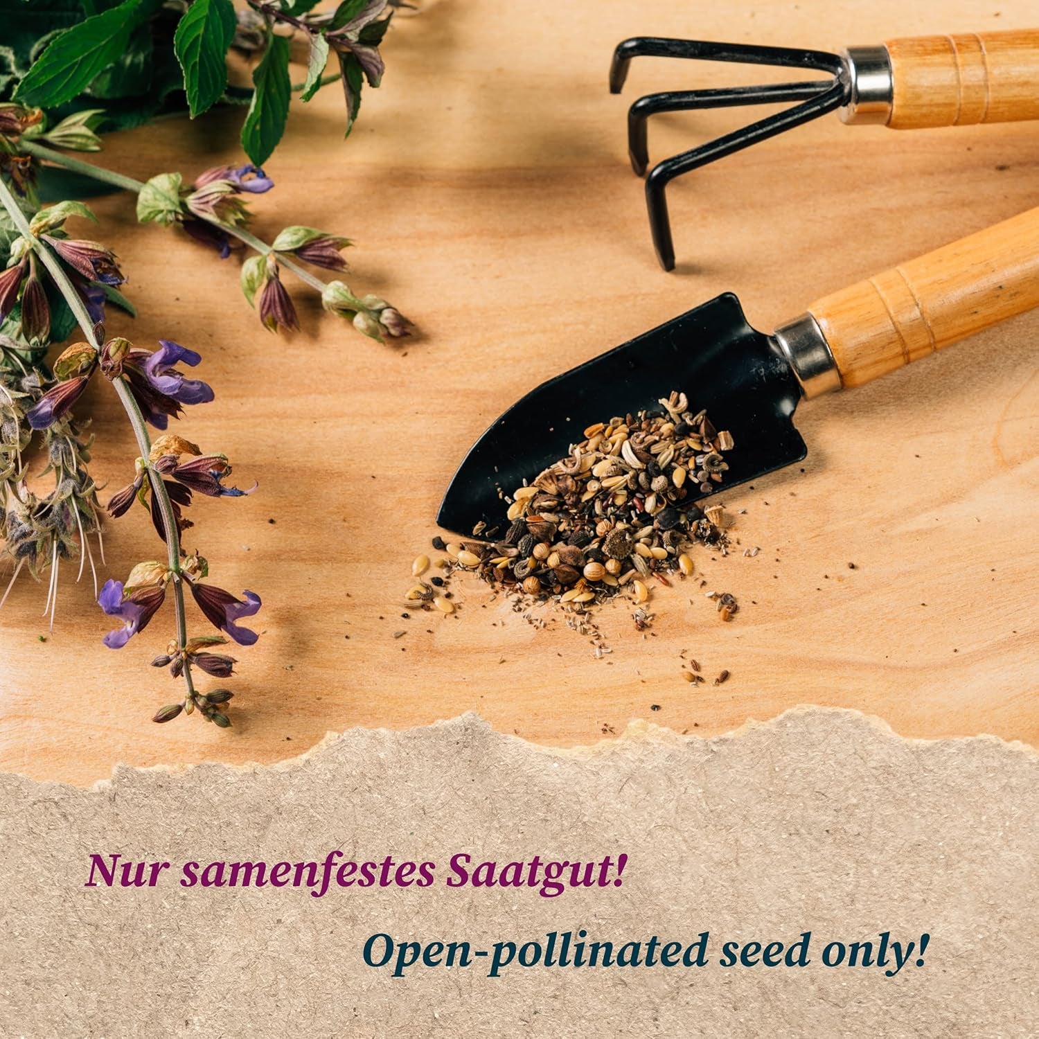 Im Blüten-Rausch (Bio) - Samen-Geschenkset mit 6 wunderschönen Blumensorten für das Blumenbeet im Garten oder denTopf