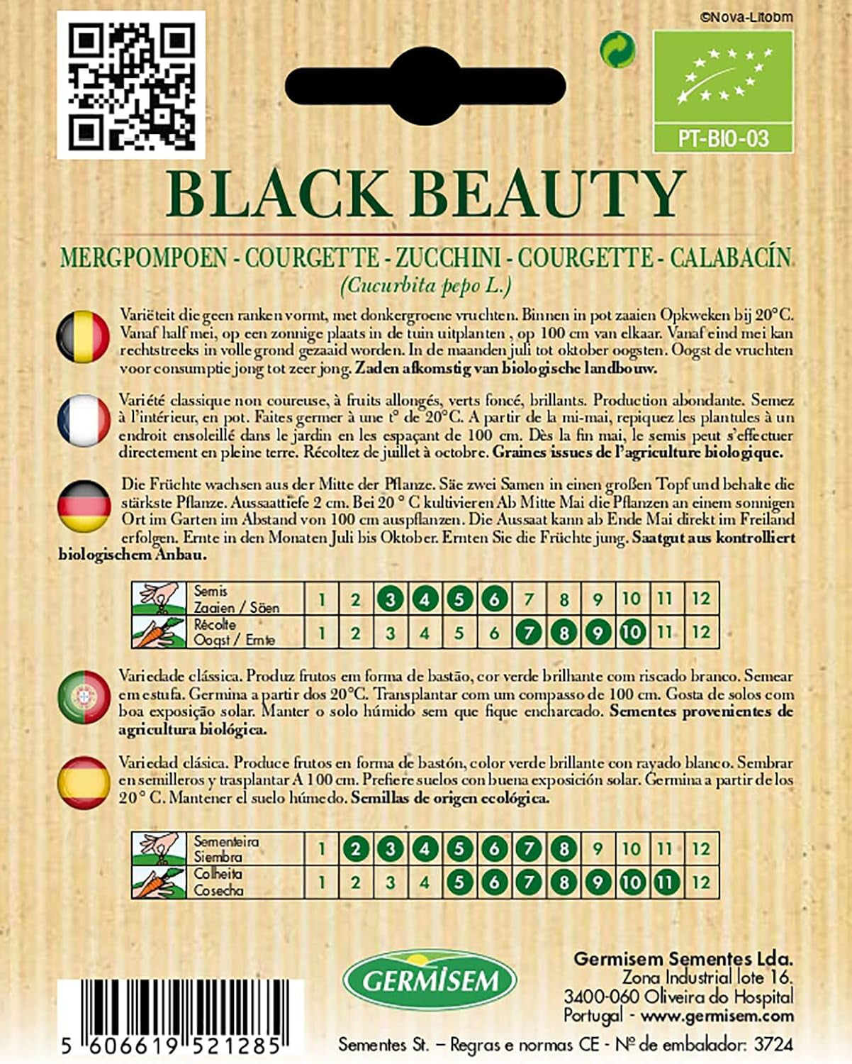 Zucchini BLACK BEAUTY, ECBIO4018