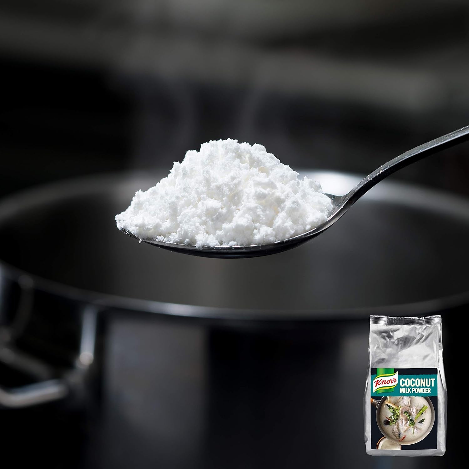 Knorr Kokosmilch Pulver (Lait en poudre aus 20 frischen Kokosnüssen, ergibt 6,6 Liter Kokosmilch) 1er Pack (1 x 1 kg)