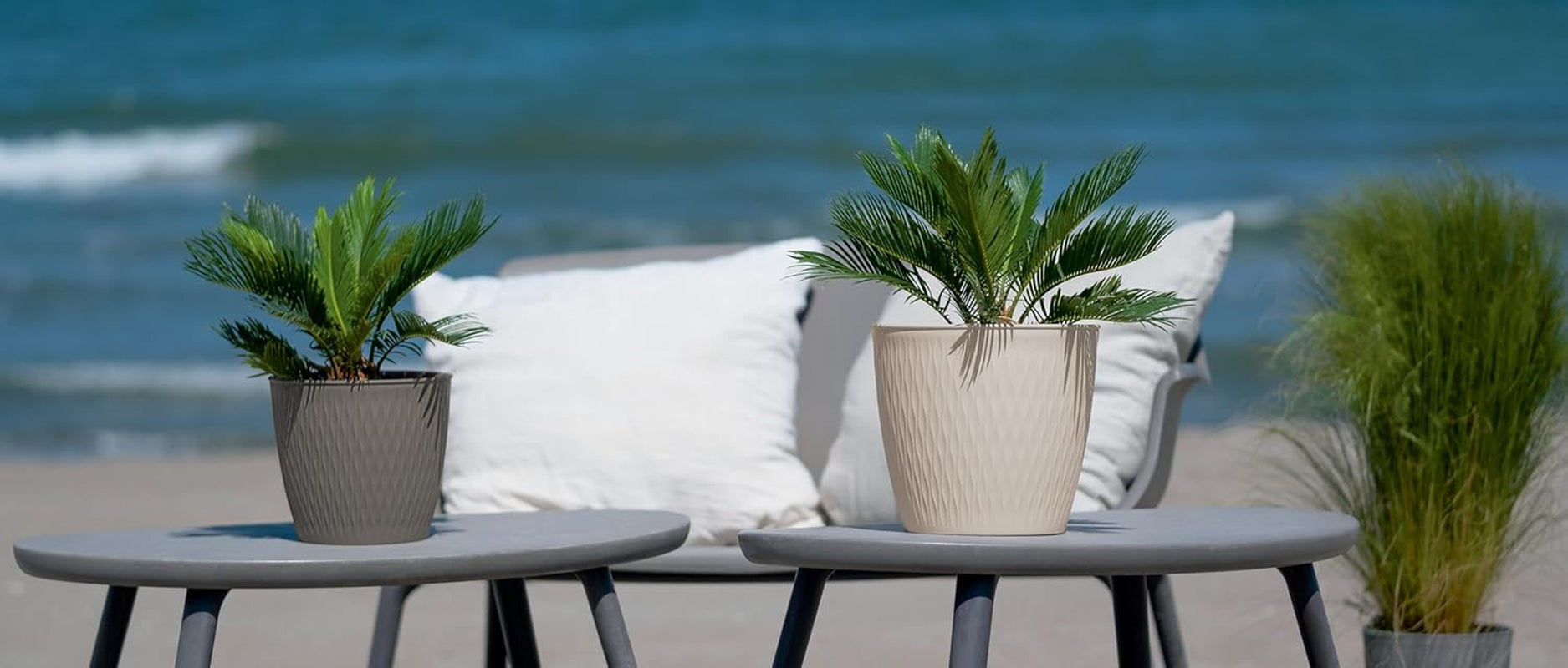 Lot de 5 pots marron diamètre 16 cm - Pots en plastique robustes - Jardinière décorative avec possibilité de drainage - Pot élégant pour l'intérieur et l'extérieur