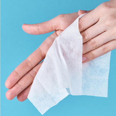 MilleusiPiu Maxi avec couvercle, 64 lingettes humides, 64 unités