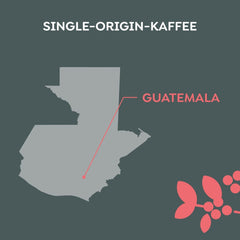 Melitta Manufaktur-Kaffee Guatemala Honey, café de spécialité, 250 g, grains de café entiers, non moulu, café d'origine unique, torréfaction délicate au tambour, torréfié en Allemagne, force 3 Coffee Naty Shop