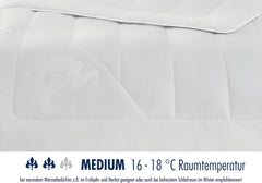 Couette Irisette camel - Fabriquée en Allemagne - Mono, couette toutes saisons, couette poil de chameau pour la transition, 155 X 220 Cm, certifiée Oeko-Tex Quilts et quilts Naty Shop