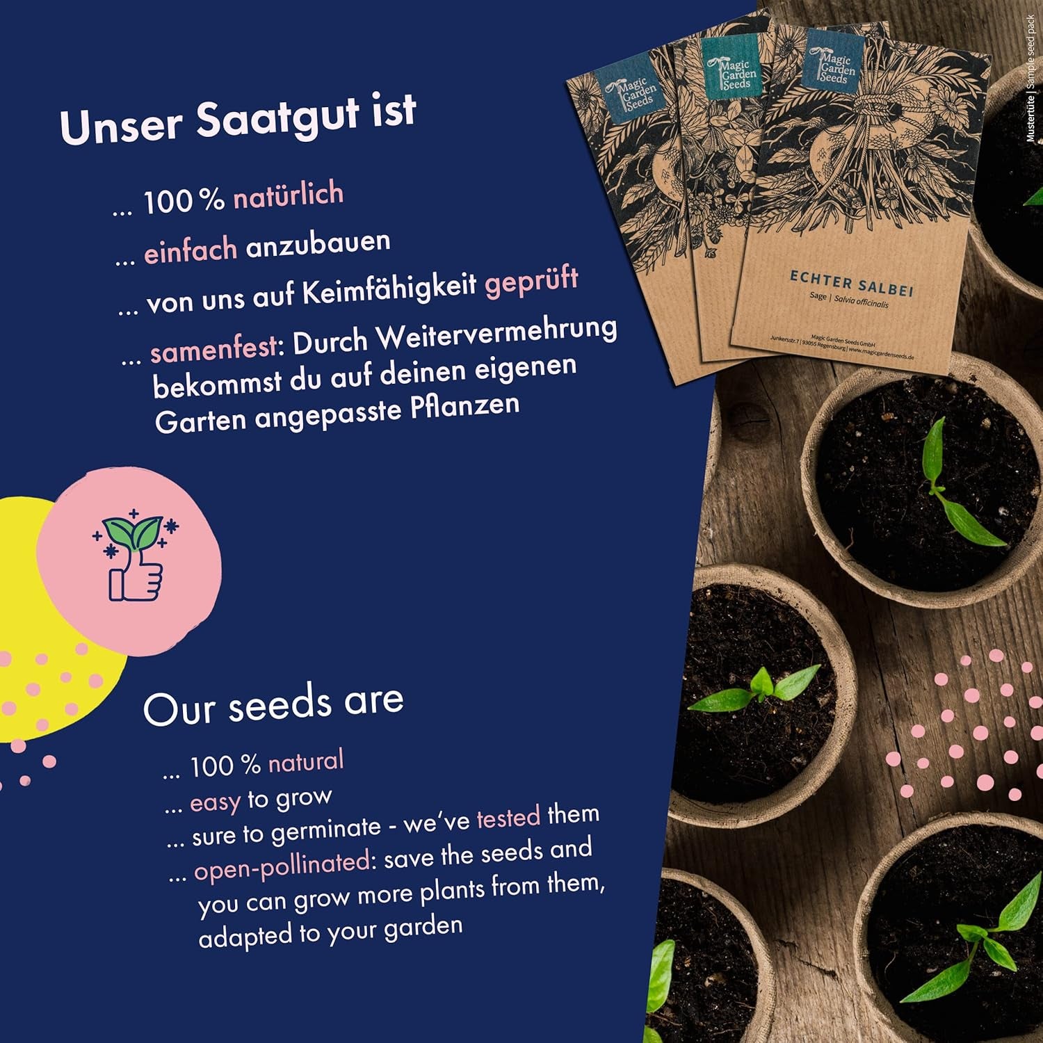 Blumensamen - 12 Samenfeste Bunte Blumensorten Für Den Garten, Das Hochbeet & Den Balkon - Wild & Farbenfroh - Einsteiger-Saatgutset Als Kleines Geschenk Oder Für Den Eigenbedarf