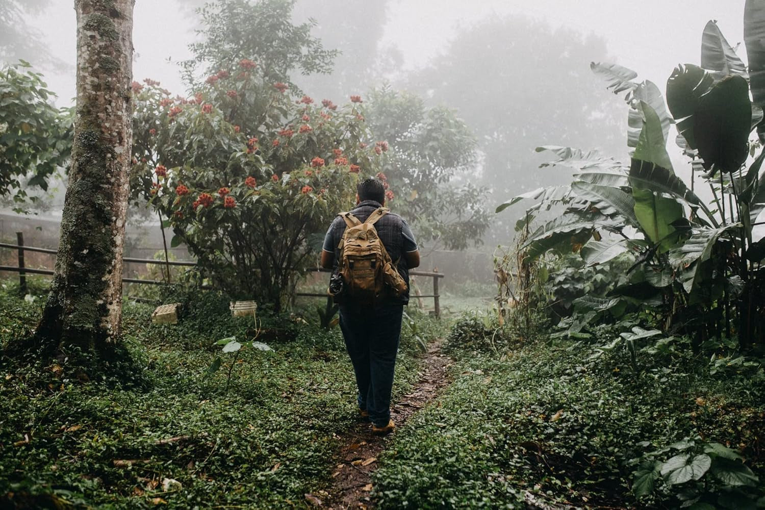 Café Tosepan Arabica de la forêt tropicale du Mexique 1000 g