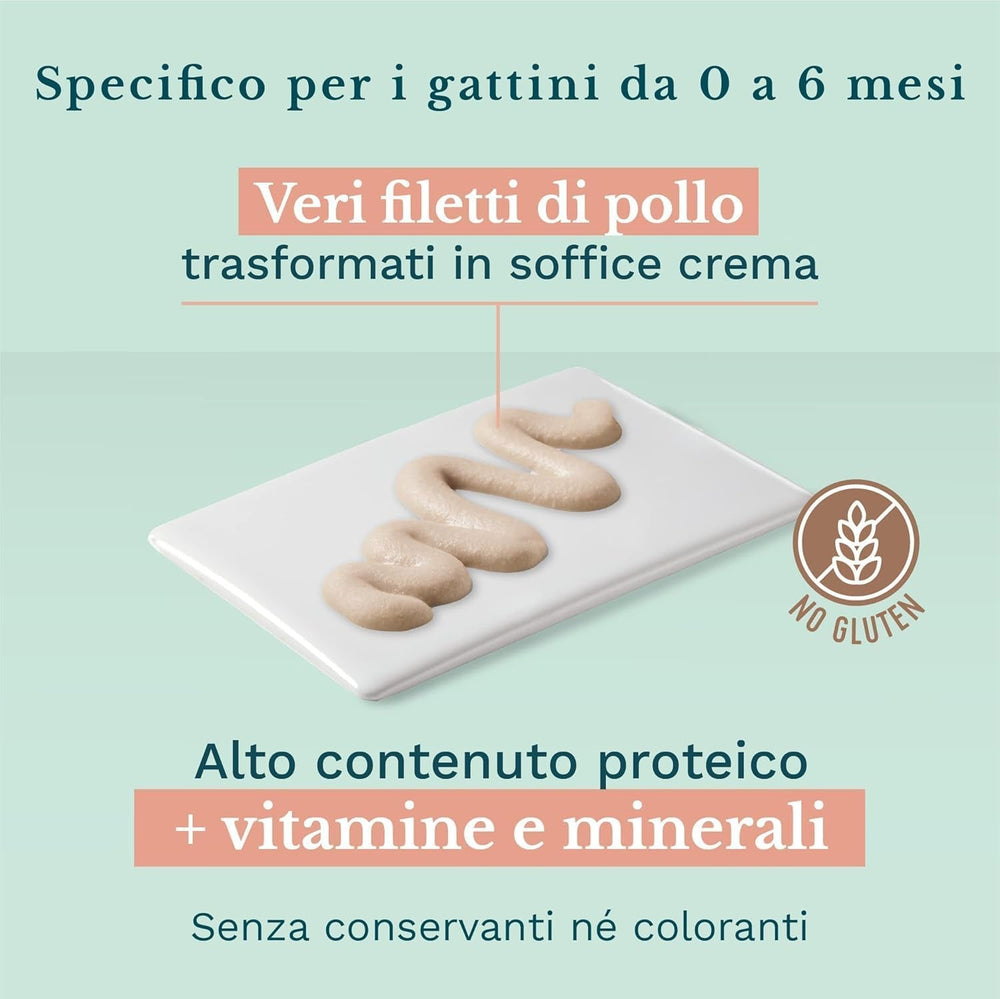 Hrană umedă pentru pisici mici cu cremă de pui și pui - Hrană umedă pentru pisici mici - Hrană umedă pentru pisici cu cremă de pui, fără cereale, cu conținut ridicat de proteine, vitamine și minerale (20 pliculețe x 150 g)