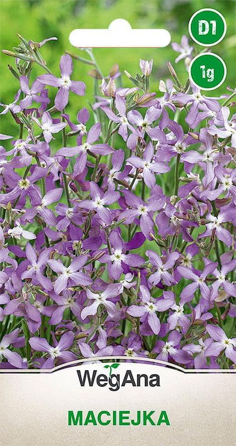 Cosmos Sensation Mix 1g graines, Cosmos Mix Fleurs d'été, Plantes de jardin Plantes de balcon, Graines de fleurs