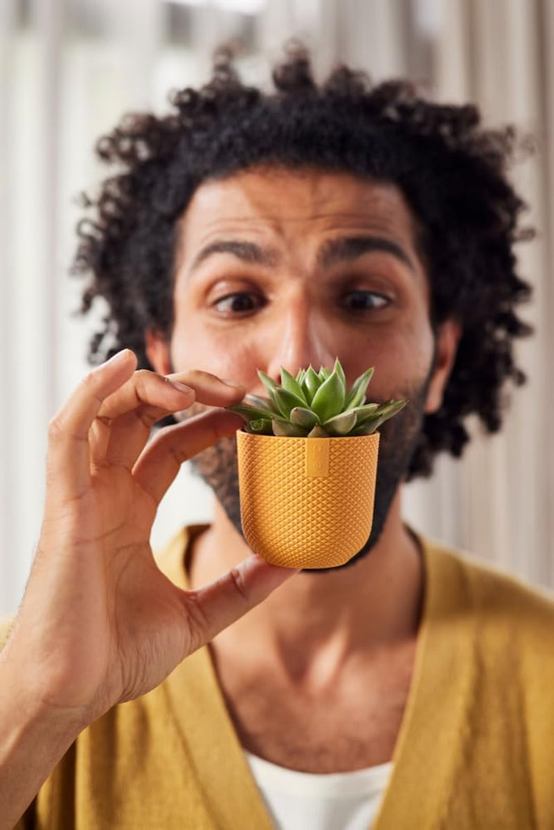 elho Jazz Round Mini 7cm - Pots de fleurs d'intérieur - 100% plastique recyclé - Ø 7 x H 6,5 cm - Jaune/Ambre