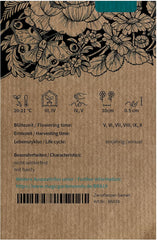 Marguerite bleue (Brachyscome iberidifolia) env. 500 graines de fleur de balcon annuelle, plante en pot à longue floraison, fleur d'été