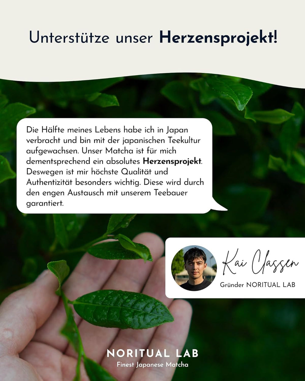 Matcha ceremonial - pudră de matcha pură din Japonia - calitate ceremonială - ceai verde matcha original - prima recoltă - 100% natural și testat în laborator