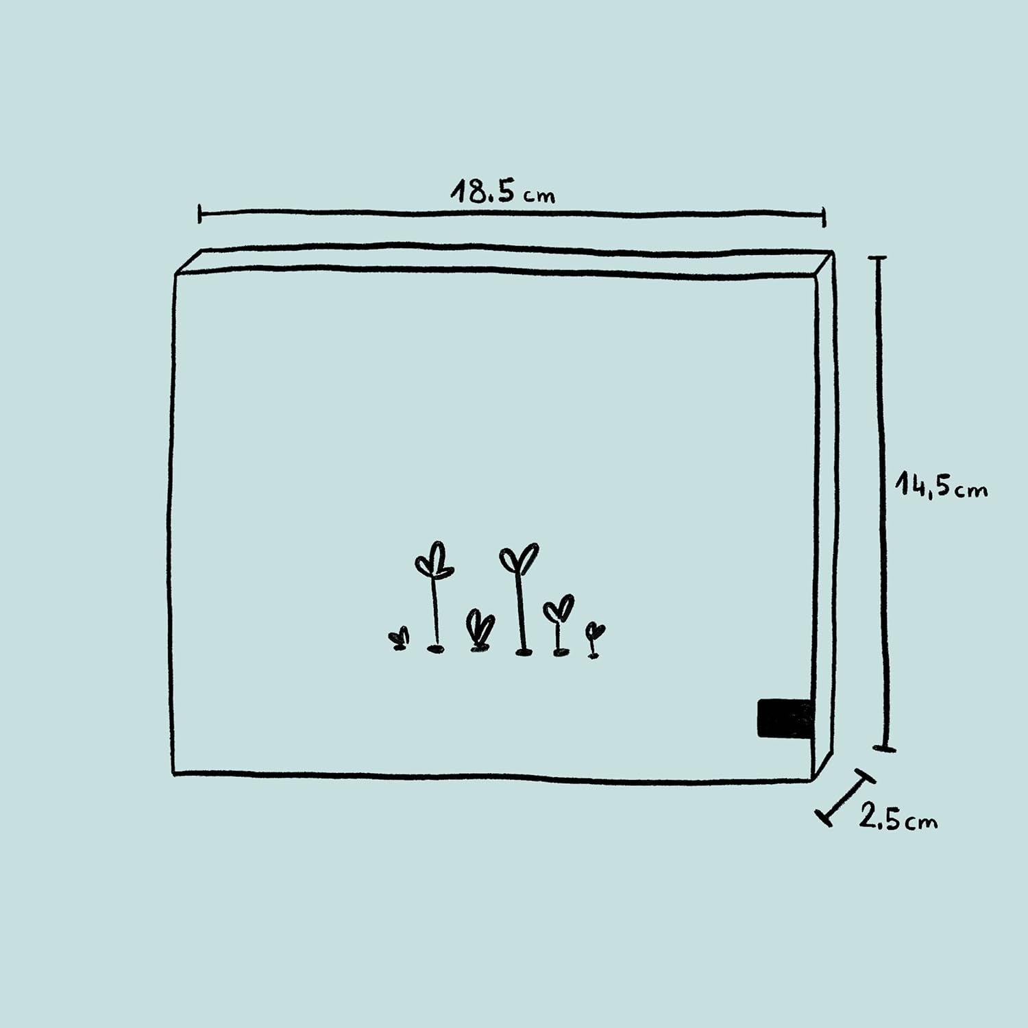 Plantes parfumées - coffret cadeau avec graines et 6 plantes aux fleurs joliment parfumées